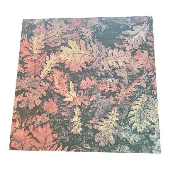 Craft Smith Autumn Dream 12x12 Scrapbook Paper Pad 46 Acid Free Sheet Fall Theme - Picture 10 of 16